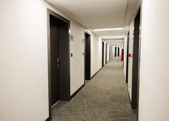 Apartament Zakrzówek